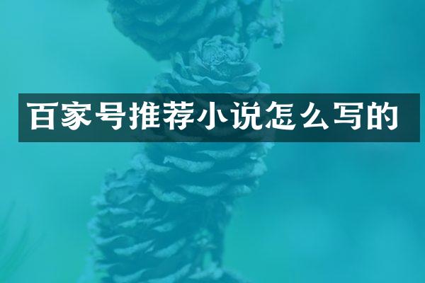 百家号推荐小说怎么写的