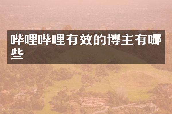 哔哩哔哩有效的博主有哪些