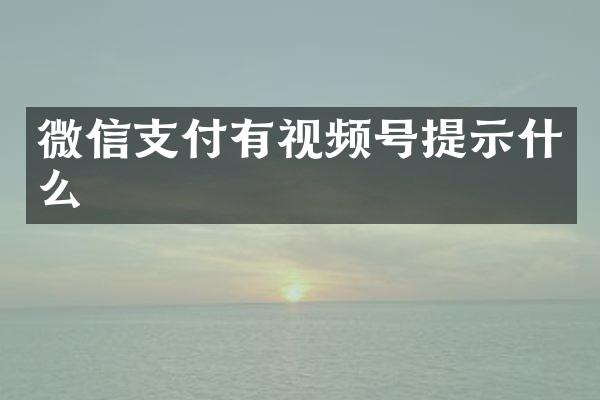 微信支付有视频号提示什么