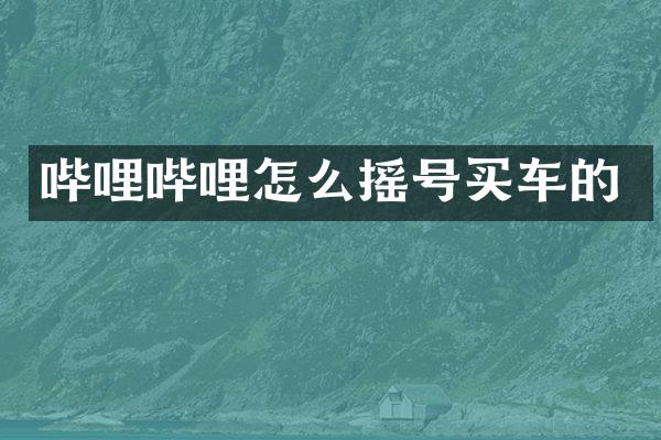 哔哩哔哩怎么摇号买车的