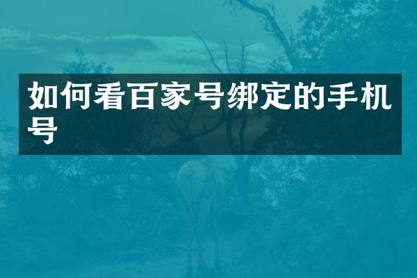 如何看百家号绑定的手机号