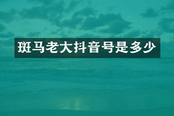斑马老大抖音号是多少