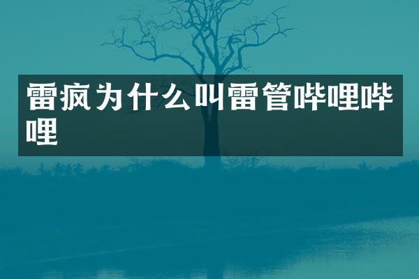 雷疯为什么叫哔哩哔哩