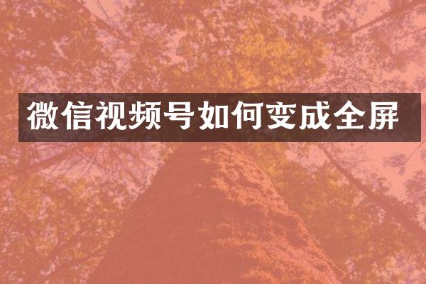 微信视频号如何变成全屏