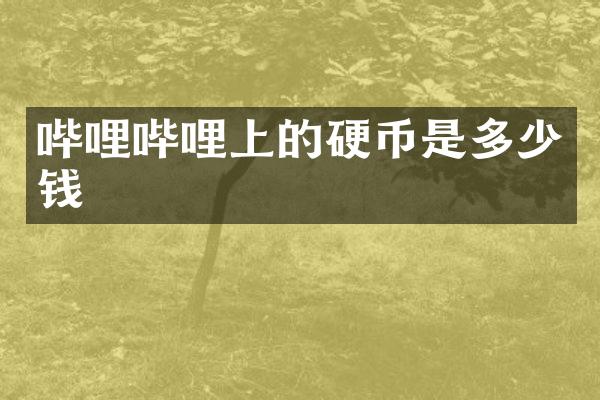 哔哩哔哩上的硬币是多少钱