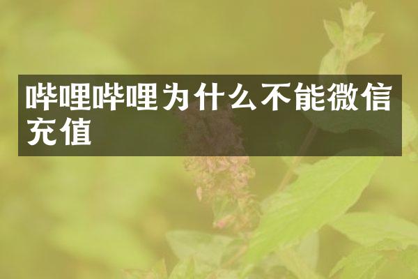 哔哩哔哩为什么不能微信充值