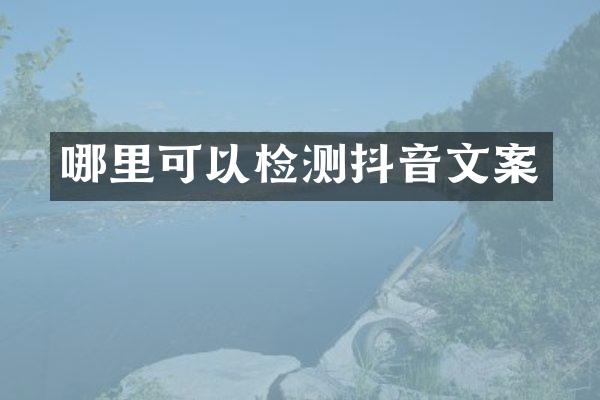 哪里可以检测抖音文案