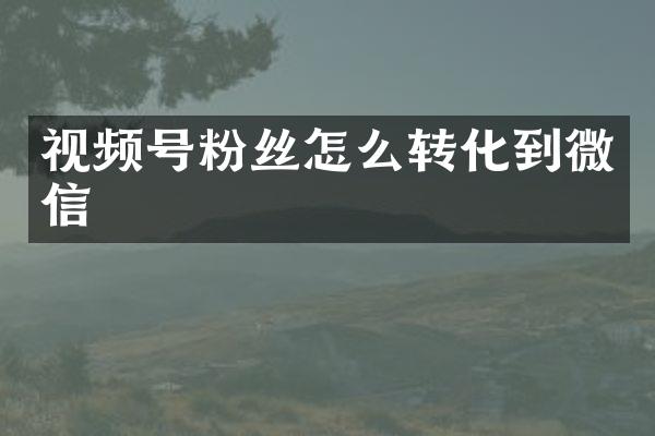 视频号粉丝怎么转化到微信