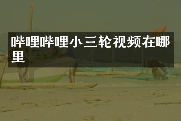 哔哩哔哩轮视频在哪里