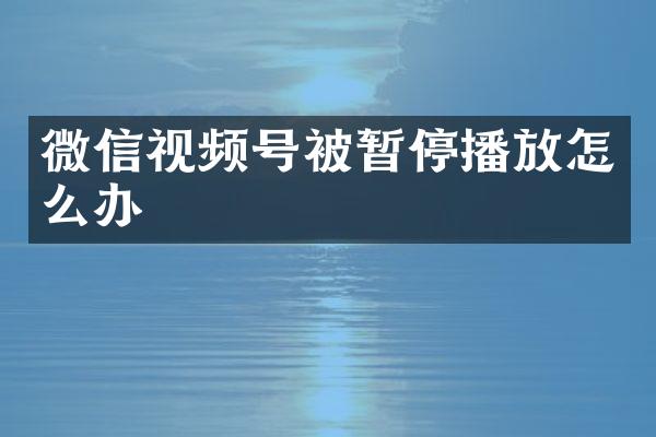 微信视频号被暂停播放怎么办