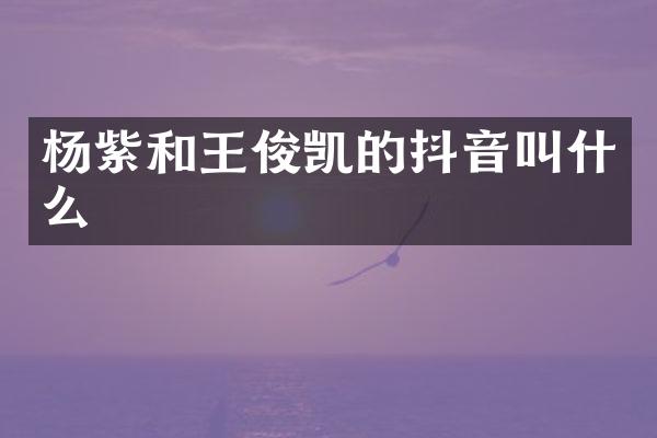 杨紫和王俊凯的抖音叫什么