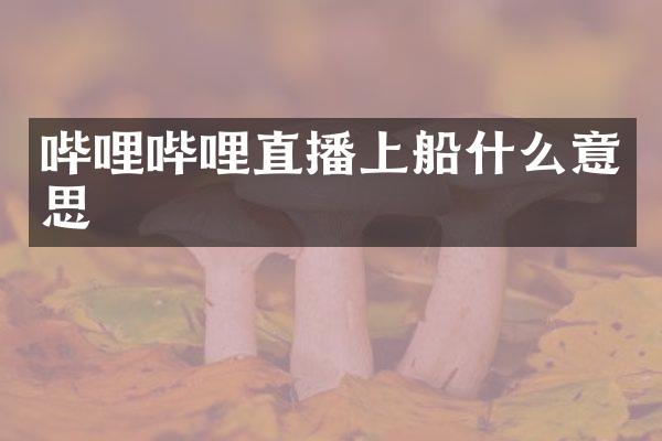 哔哩哔哩直播上船什么意思