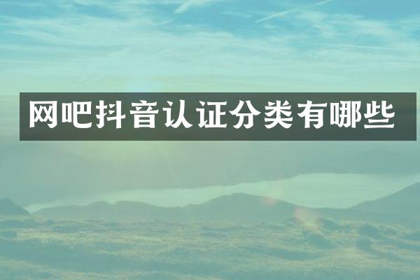 网吧抖音认证分类有哪些