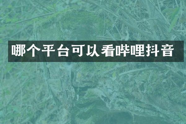 哪个平台可以看哔哩抖音