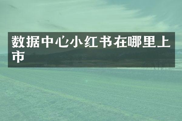 数据中心小红书在哪里上市