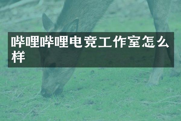 哔哩哔哩电竞工作室怎么样