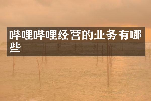 哔哩哔哩经营的业务有哪些