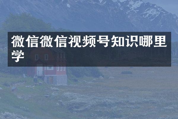 微信微信视频号知识哪里学