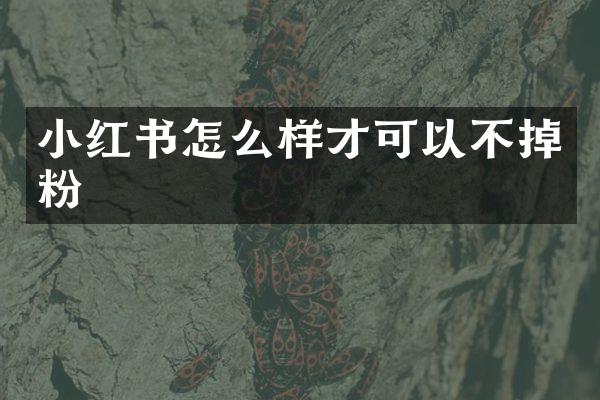 小红书怎么样才可以不掉粉