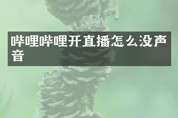 哔哩哔哩开直播怎么没声音