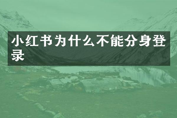 小红书为什么不能分身登录