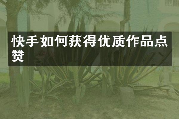 快手如何获得优质作品点赞