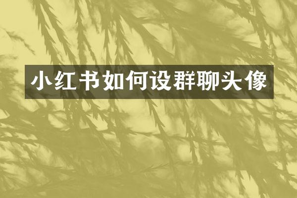 小红书如何设群聊头像