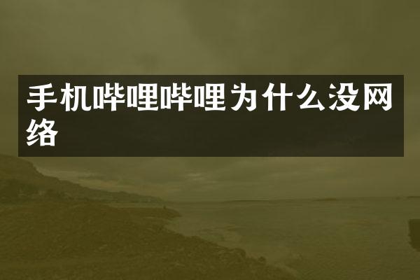 手机哔哩哔哩为什么没网络