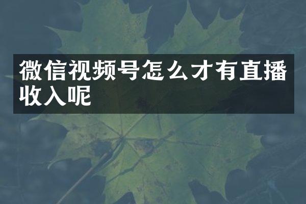 微信视频号怎么才有直播收入呢