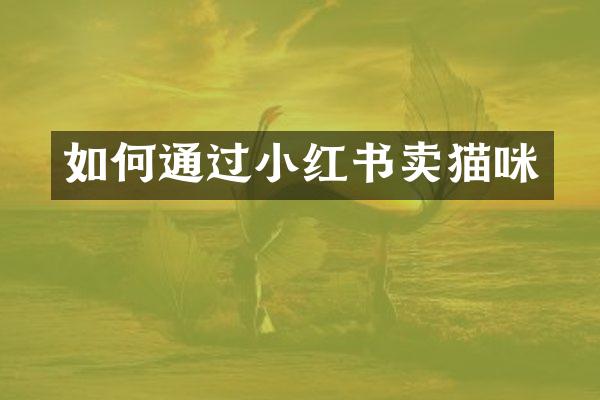 如何通过小红书卖猫咪