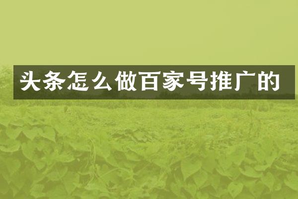 头条怎么做百家号推广的