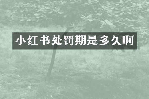 小红书处罚期是多久啊
