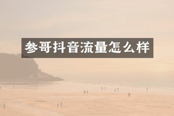 参哥抖音流量怎么样