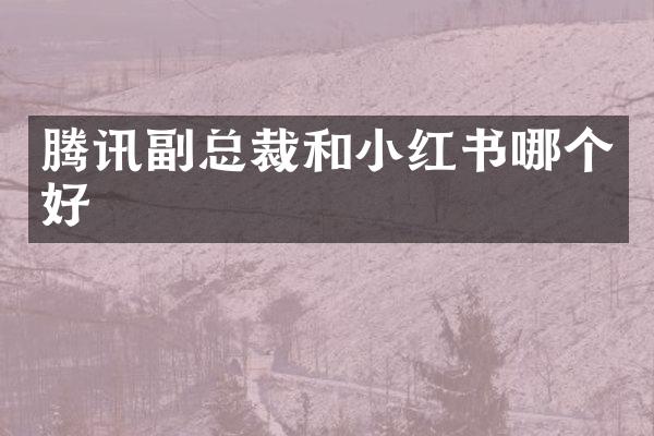 腾讯副总裁和小红书哪个好