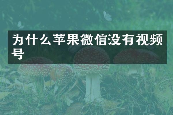 为什么苹果微信没有视频号