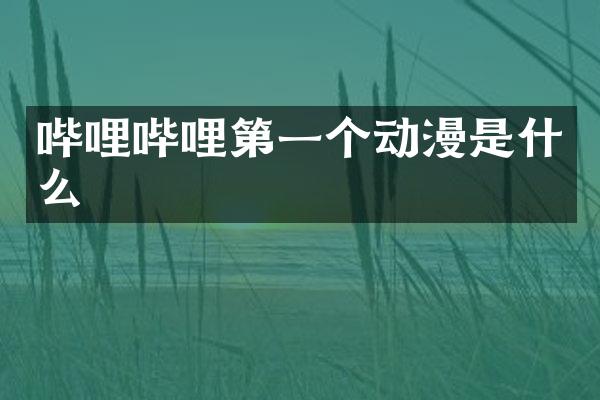 哔哩哔哩第一个动漫是什么