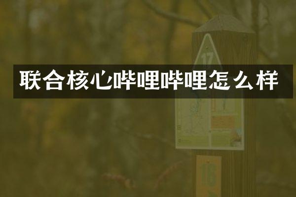 联合核心哔哩哔哩怎么样