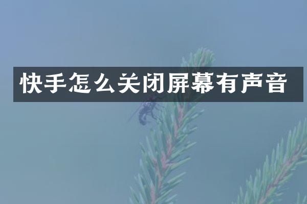快手怎么关闭屏幕有声音