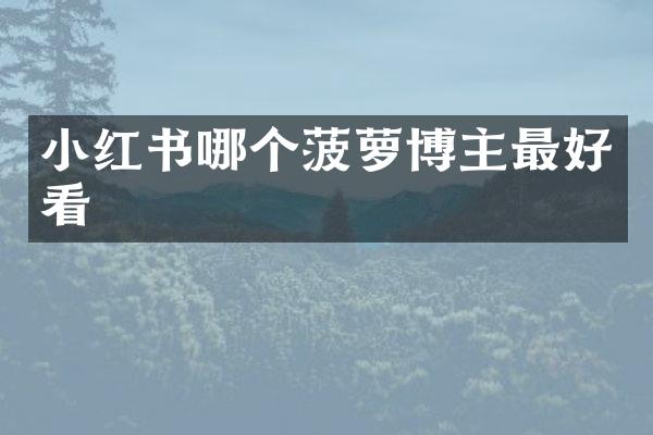 小红书哪个菠萝博主最好看