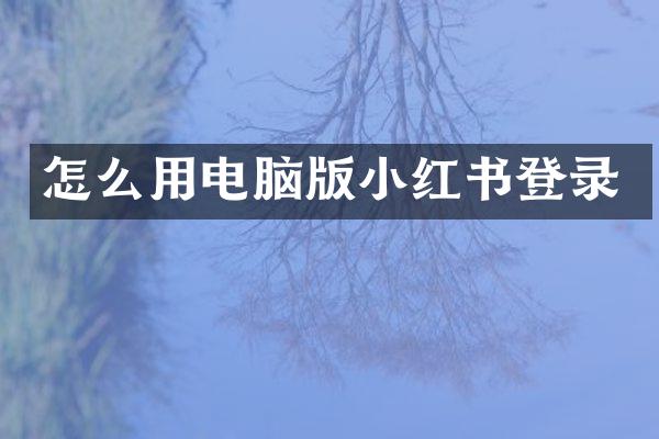 怎么用电脑版小红书登录