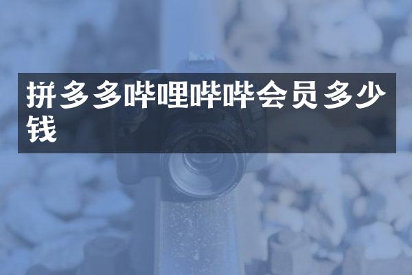 拼多多哔哩哔哔会员多少钱