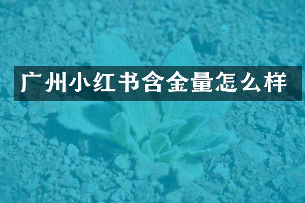 广州小红书含金量怎么样