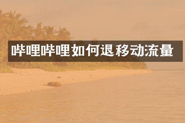 哔哩哔哩如何退移动流量