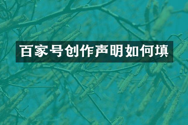 百家号创作声明如何填