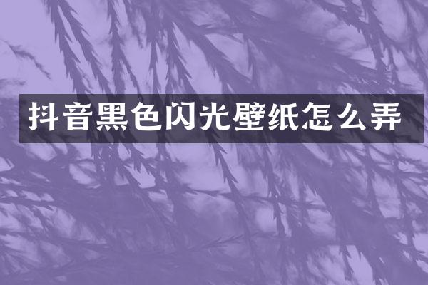 抖音黑色闪光壁纸怎么弄