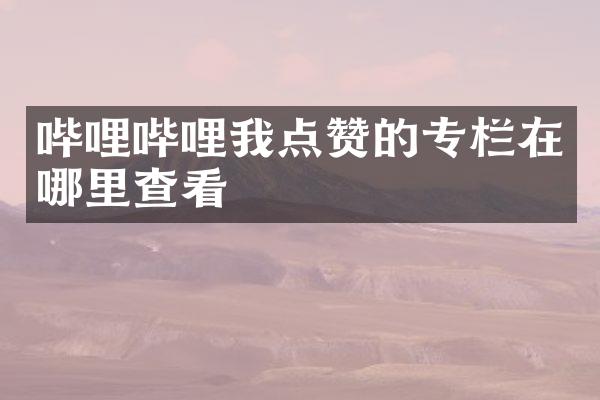 哔哩哔哩我点赞的专栏在哪里查看