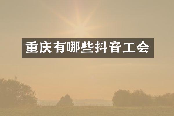 重庆有哪些抖音工会