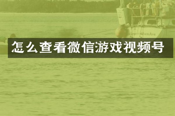 怎么查看微信游戏视频号