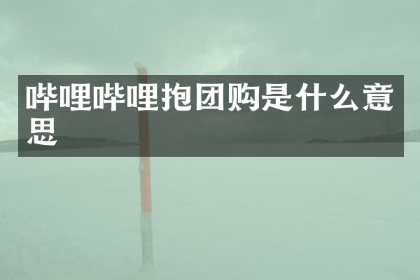 哔哩哔哩抱团购是什么意思
