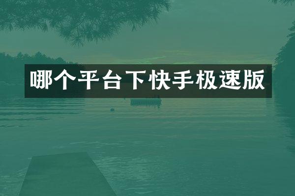 哪个平台下快手极速版